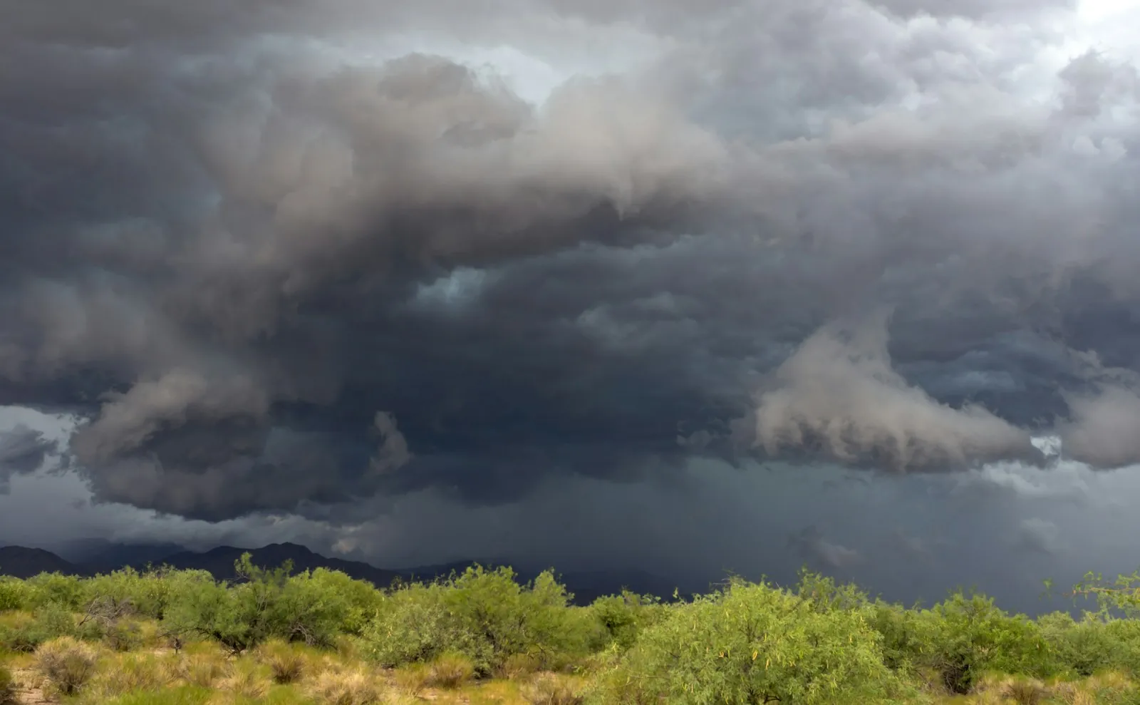 Dark monsoon storm clouds building over green desert brush