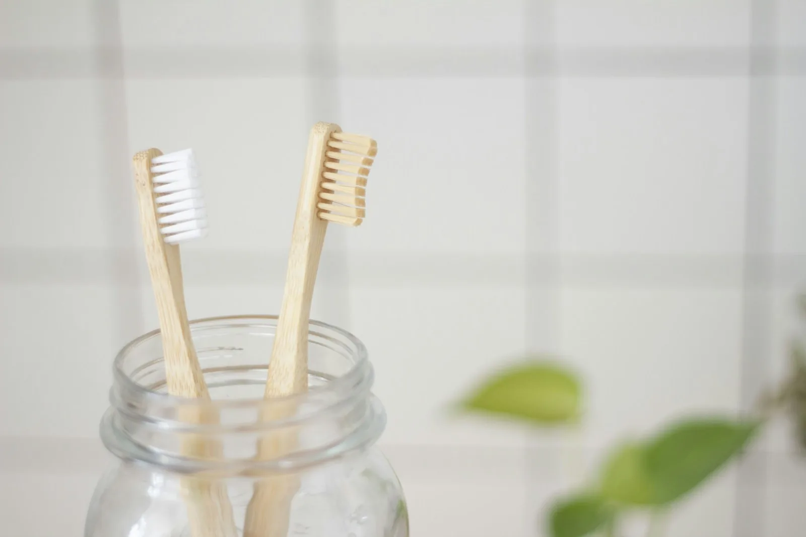 Two bamboo toothbrushes in a glass jar