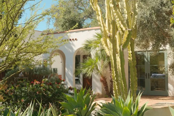 White stucco home framed by cactus and desert plants