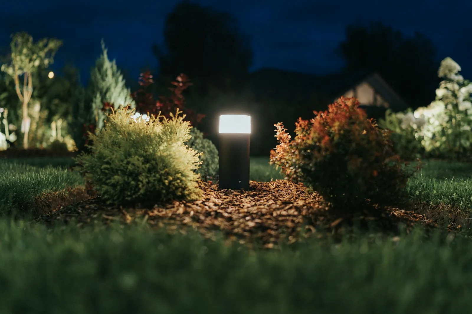 Low path light glowing in a planted bed at night