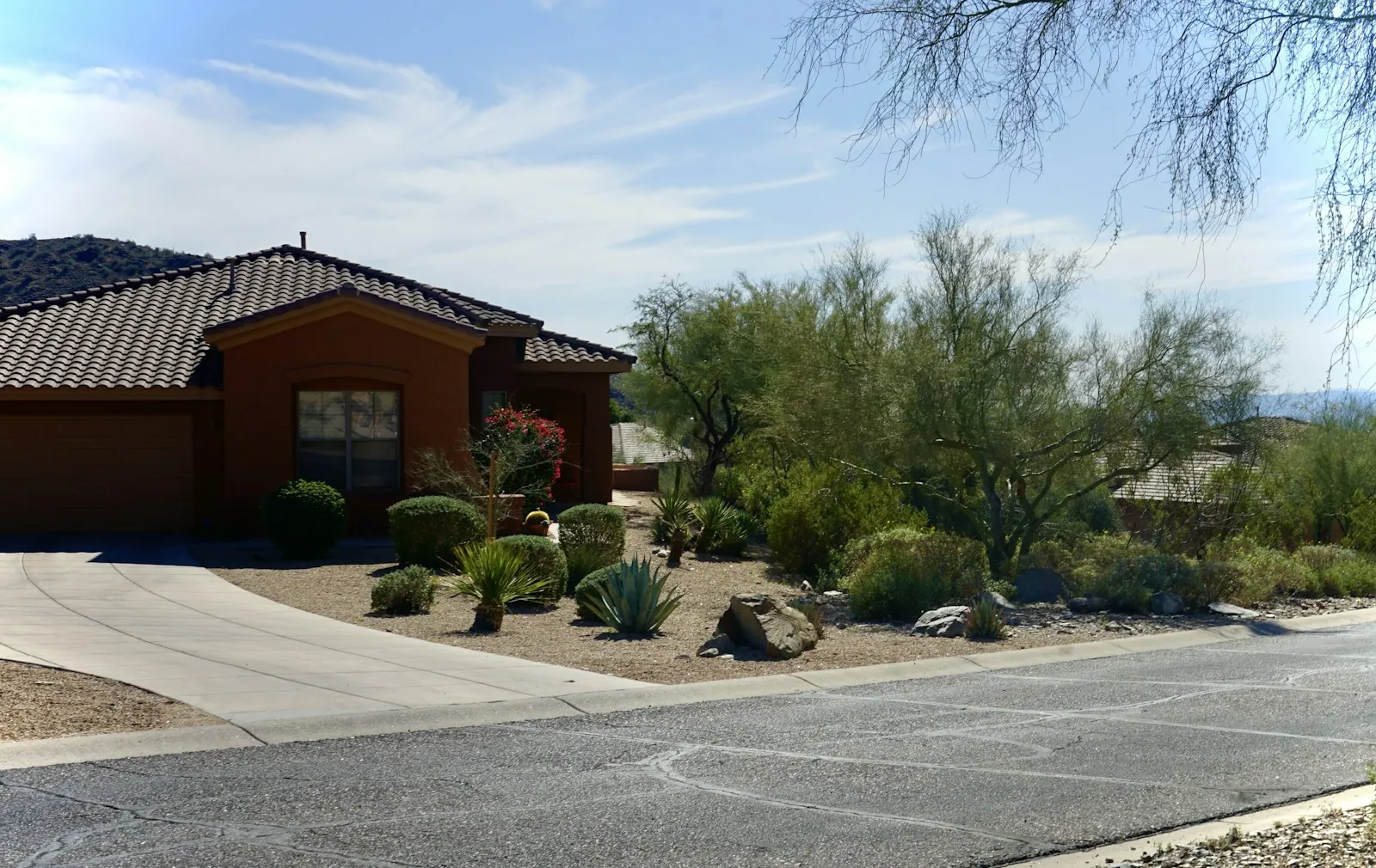 After: front yard with gravel, desert trees and low-water shrubs