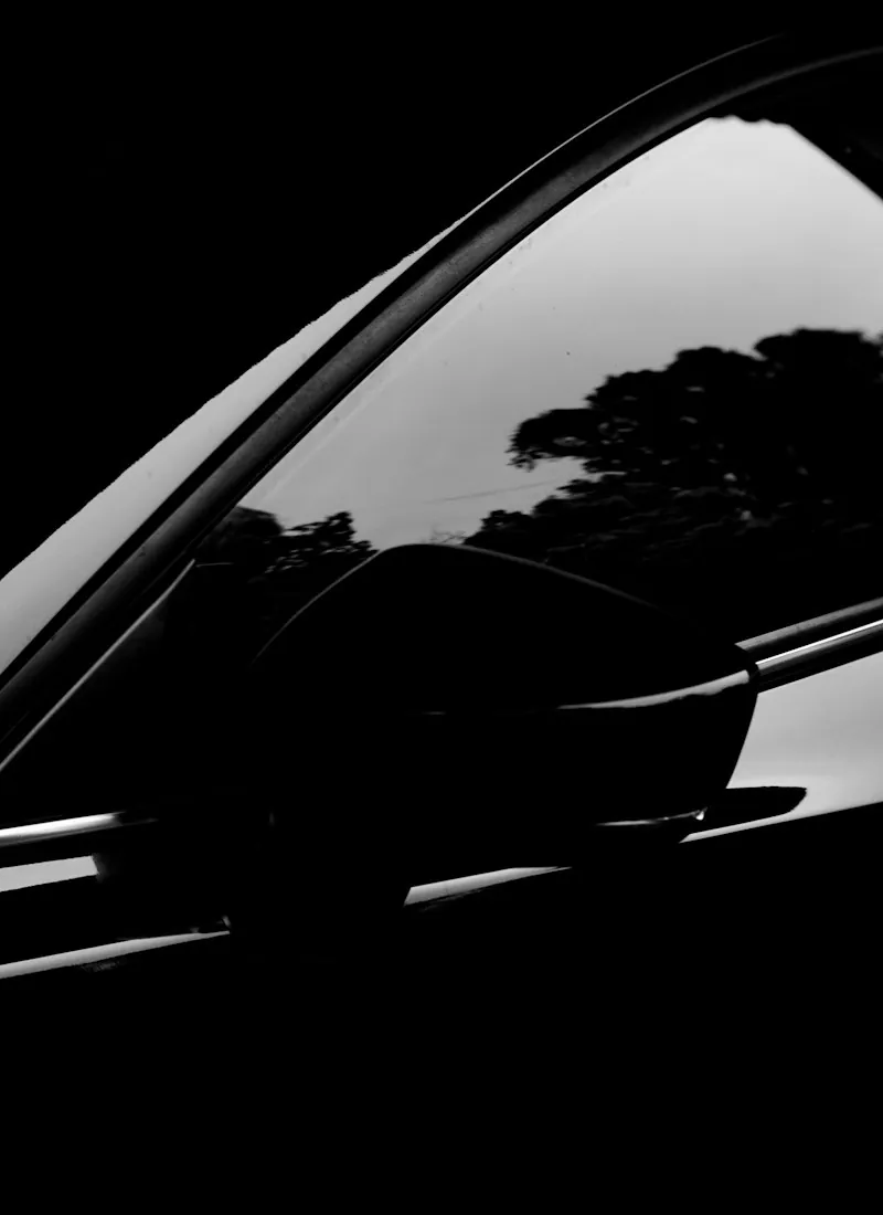 Dark tinted side window reflecting tree silhouettes